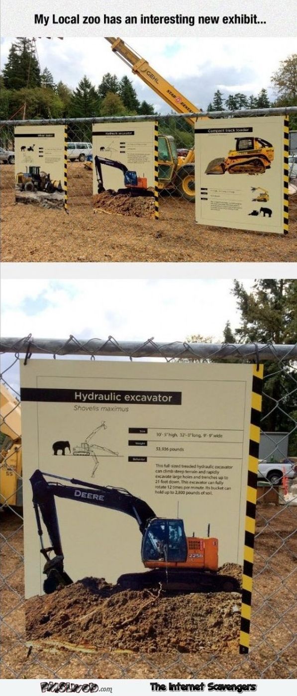 Local zoo has an interesting new exhibit humor @PMSLweb.com