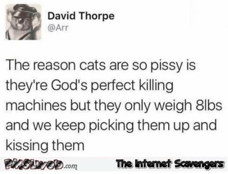 Cats are God's perfect killing machines funny tweet @PMSLweb.com