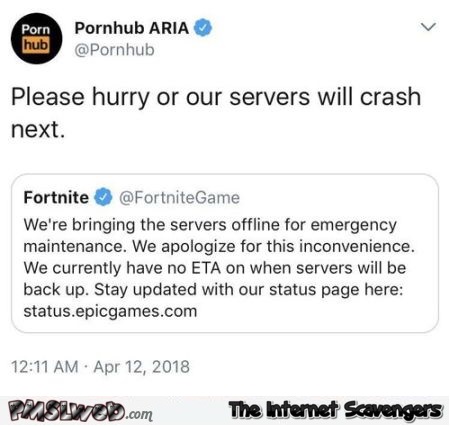 Funny Pornhub answer to Fortnite tweet