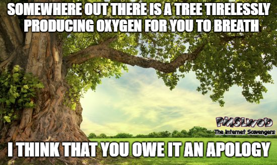 Somewhere out there is a tree sarcastic meme