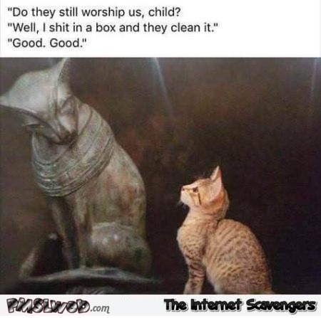 Funny Egyptian cat god meme @PMSLweb.com