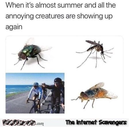 When it's almost summer and all the annoying creatures show up funny meme @PMSLweb.com