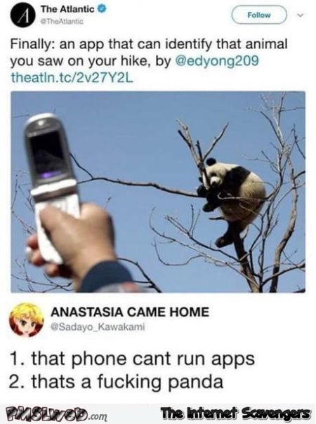 An app to identify animals funny comment