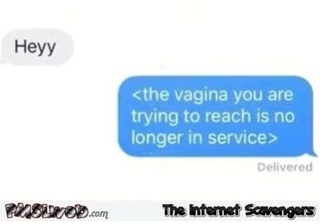 The vagina you are trying to reach is out of service funny adult text