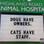 Dogs have owners cats have staff funny sign - Funny Friday YLYL @PMSLweb.com