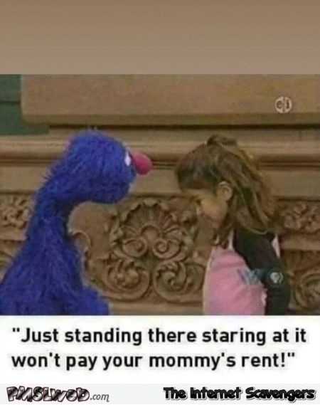 Don't just stand there staring at it funny Sesame Street meme @PMSLweb.com
