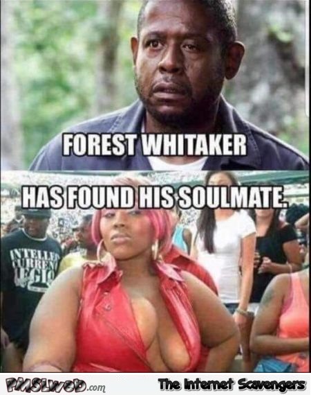 Forest Whitaker has found his soulmate funny meme @PMSLweb.com