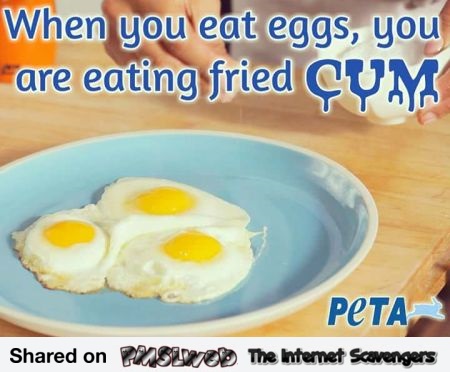 When you eat eggs you are eating fried cum offensive PETA meme @PMSLweb.com