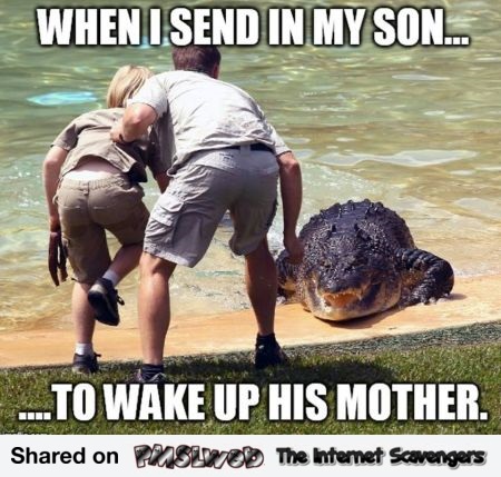 When I send my son to wake up his mother meme - Hump Day craze @PMSLweb.com