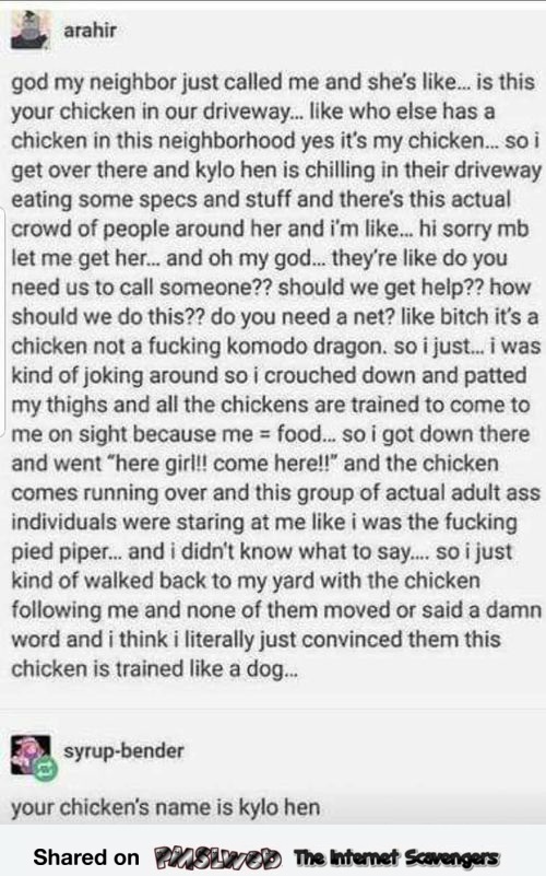 Story of Kylo Hen funny post @PMSLweb.com