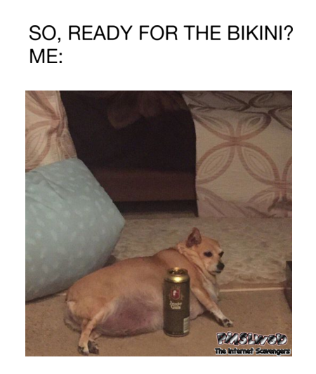 Are you ready for the bikini meme