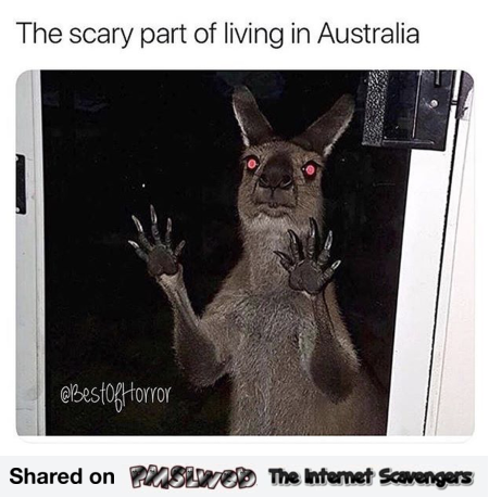 The scary part about living in Australia funny meme @PMSLweb.com