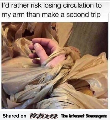When you decided to carry all your groceries in one trip funny meme @PMSLweb.com