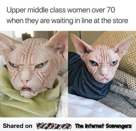 Upper middle class women over 70 at the store funny meme @PMSLweb.com