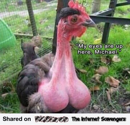 My eyes are up here funny turkey meme @PMSLweb.com