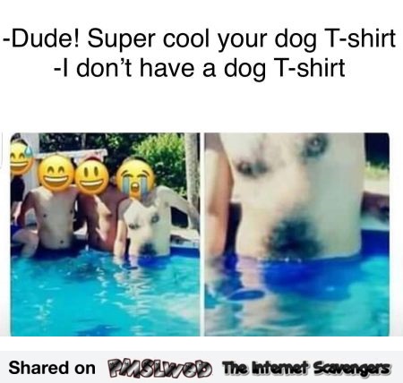 Super cool dog t-shirt funny meme @PMSLweb.com