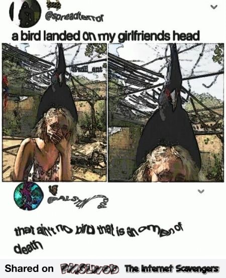 A bird landed on my girlfriend's head funny comment @PMSLweb.com