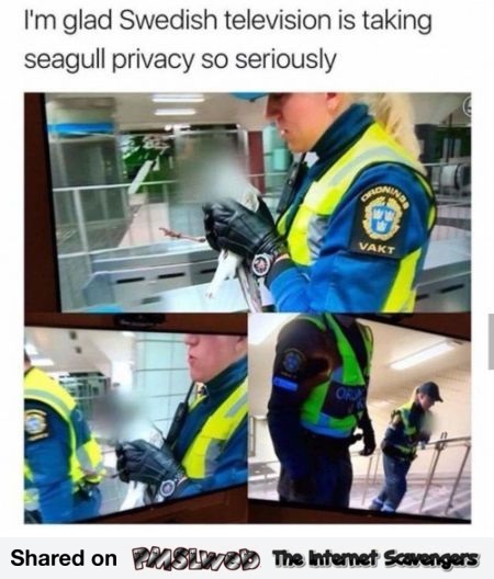 Swedish television takes seagull privacy seriously funny meme @PMSLweb.com