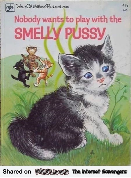 Nobody wants to play with the smelly pussy funny book cover @PMSLweb.com