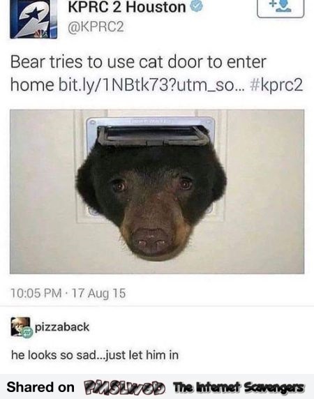 The bear looks sad just let him in funny comment @PMSLweb.com